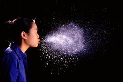 La transmission aérienne des filovirus