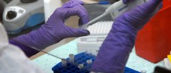 CRISPR/Cas9 : une arme dans les mains des terroristes du NRBCe