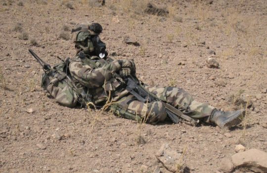 Engineering the gut microbiome to optimize warfighter performance
