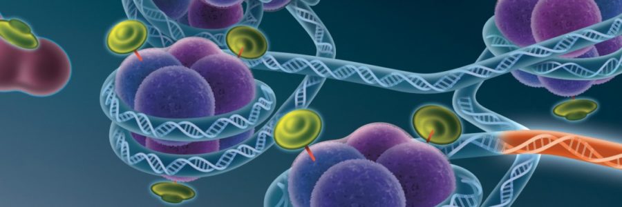 Mustard gas causes epigenetic changes: new notions in the CBRN domain
