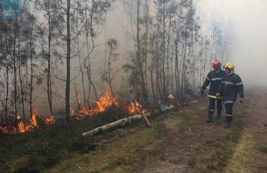 Feux de forêts : la cagoule des sapeurs-pompiers est-elle efficace pour filtrer les fumées et les particules fines ?