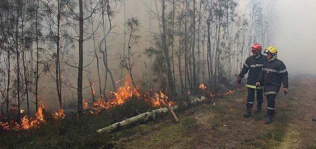 Forest fires: is the fire brigade hood effective in filtering smoke and fine particles?