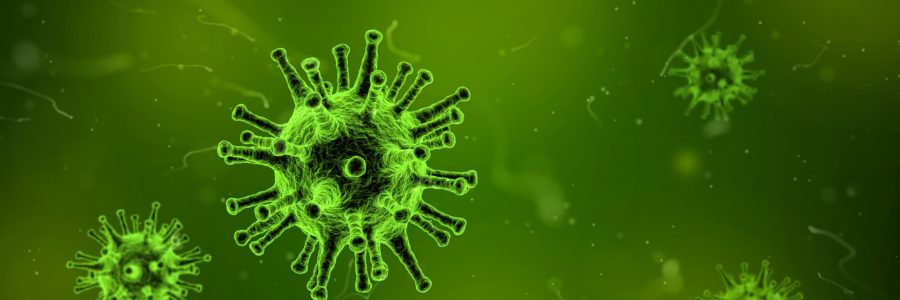 The 2020 Olympic Games in Japan and bioterrorism