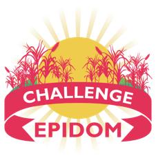 POLYAGRIDOM in the final of the EPIDOM challenge!
