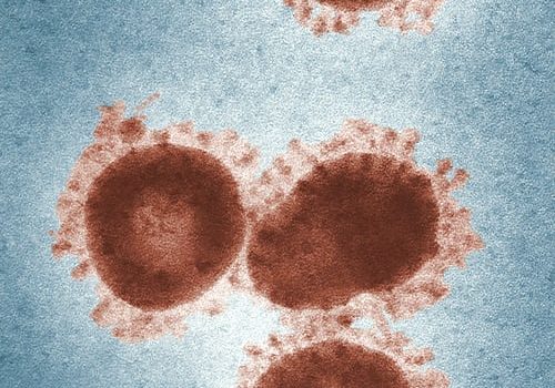 Coronavirus